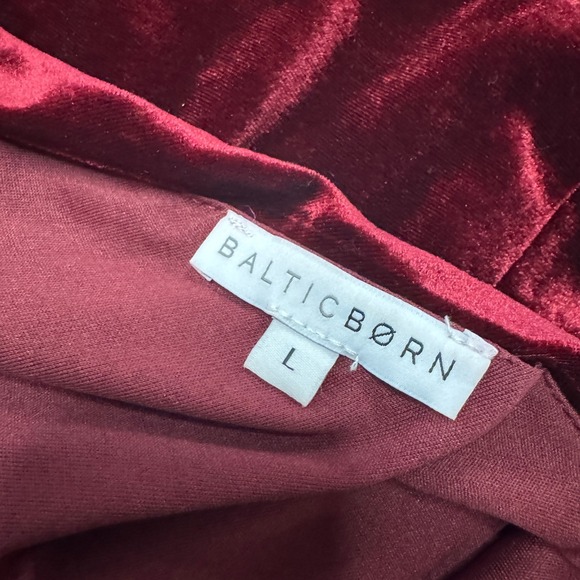 Baltic Born Tatiana Velvet Maxi Dress Merlot Formal Gown Party Evening Sz Lg - Picture 9 of 13